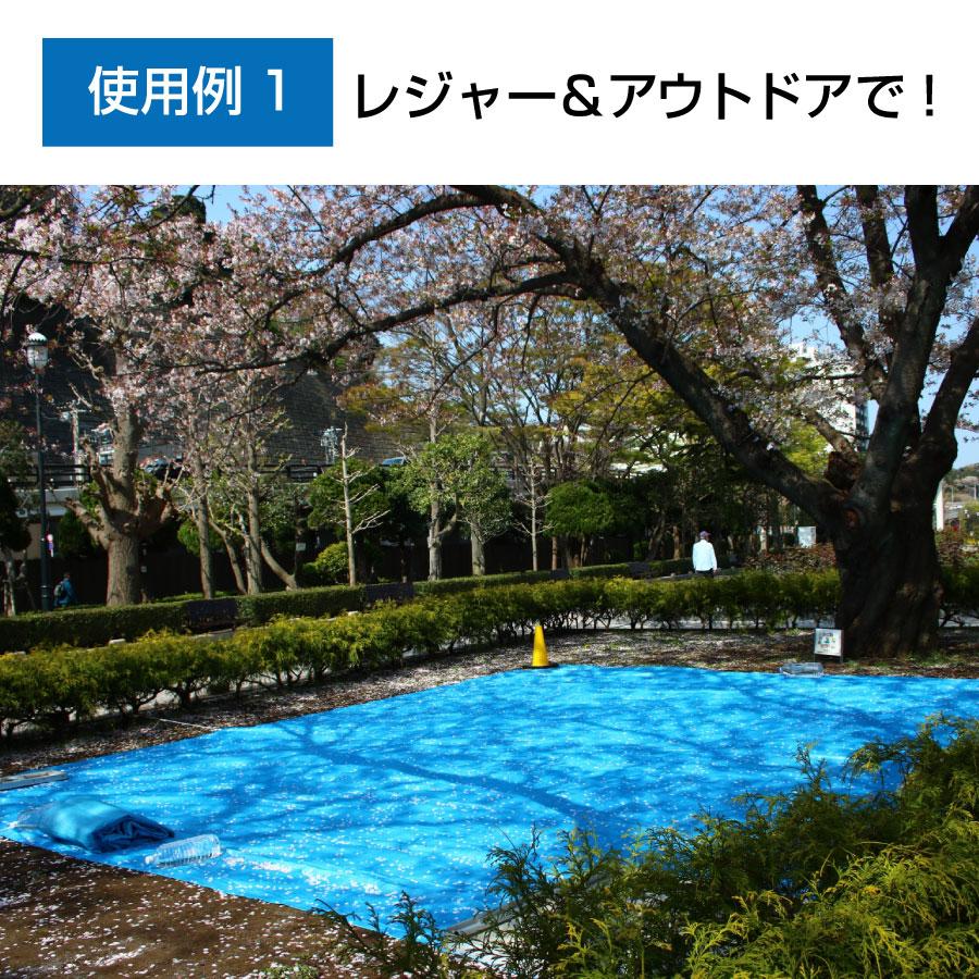 ブルーシート＃2000 10×10（2枚入り）中厚タイプ ハトメ付き 建築資材 