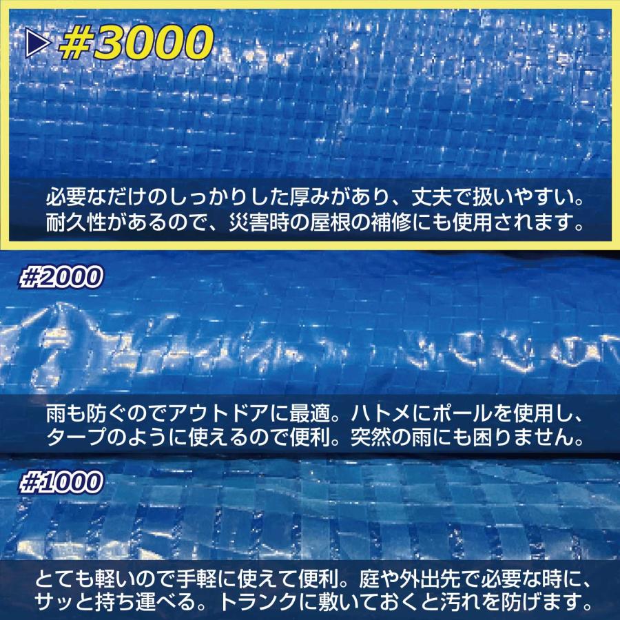 ブルーシート #3000 10m×10m 2枚入 厚手 補強 ハトメ 防水 防災 台風 
