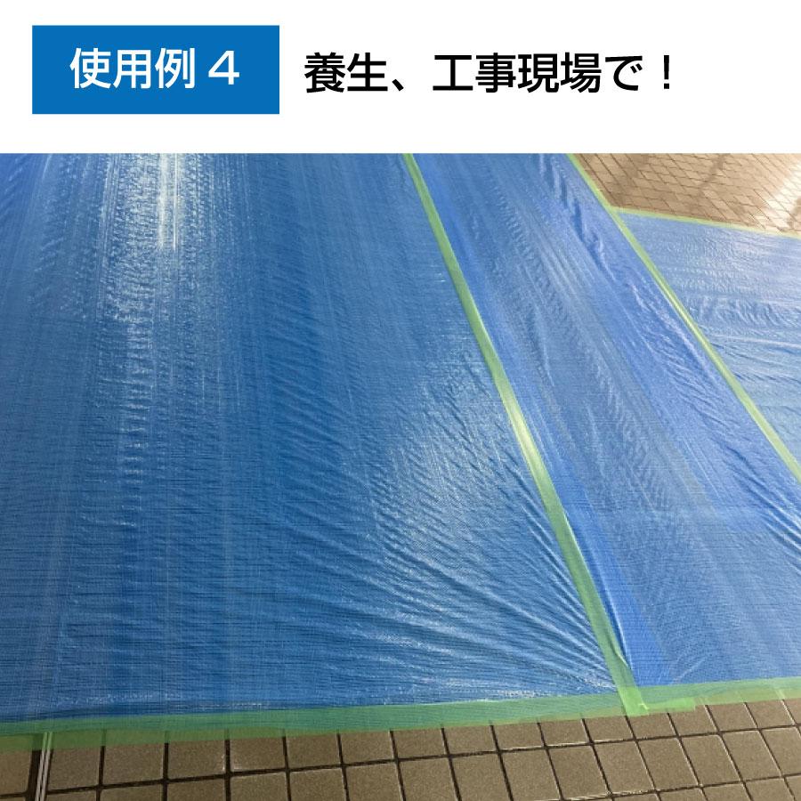 ブルーシート #3000 10m×10m 2枚入 厚手 補強 ハトメ 防水 防災 台風