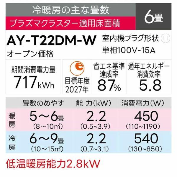 シャープルームエアコン DMシリーズ 2025年モデル 6畳用 AY-T22DM-W