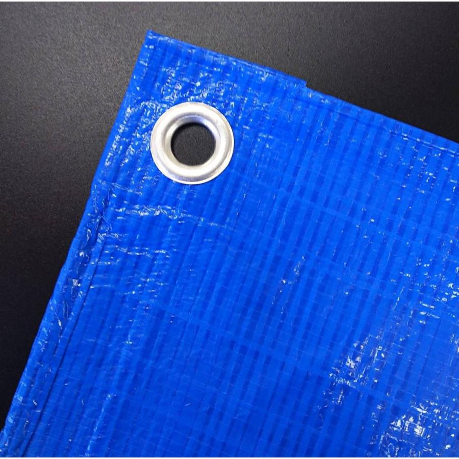 10×10 ブルーシート 中厚シート#2200タイプ 2枚入り : 資材屋