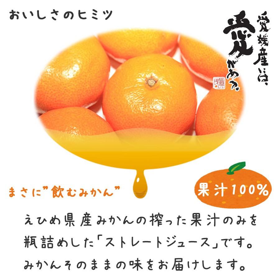 みかんジュース 500ml×12本入 2ケースセット 伯方果汁 愛媛 みかんジュース 500ml×12本入 2ケースセット 伯方果汁 愛媛