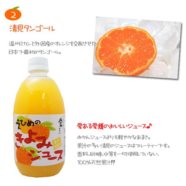 当店オリジナル 瀬戸内の柑橘ジュース 飲み比べセット 500ml × 6 当店オリジナル 瀬戸内の柑橘ジュース 飲み比べセット 500ml × 6