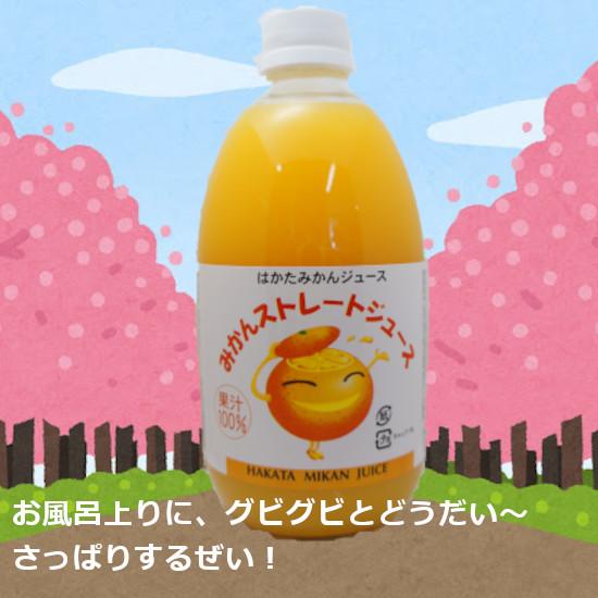 みかんジュース 500ml×12本入 伯方果汁 愛媛 ストレート 無添加 みかんジュース 500ml×12本入 伯方果汁 愛媛 ストレート 無添加
