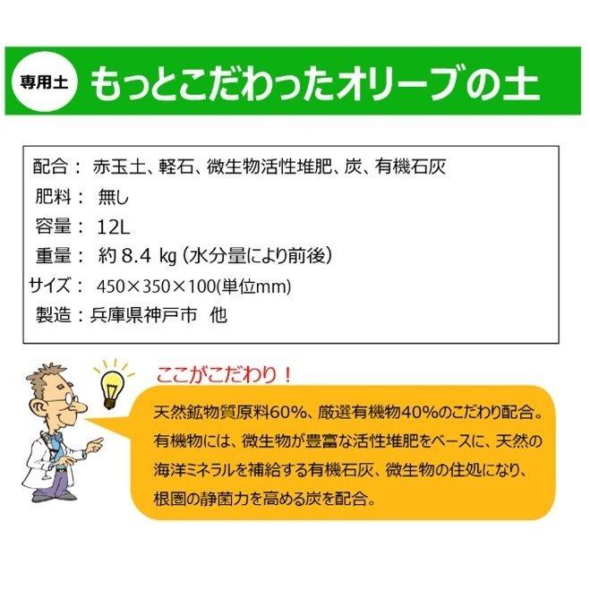 もっとこだわった オリーブの土12l By 12 自然応用科学 自然応用科学 通販 Yahoo ショッピング