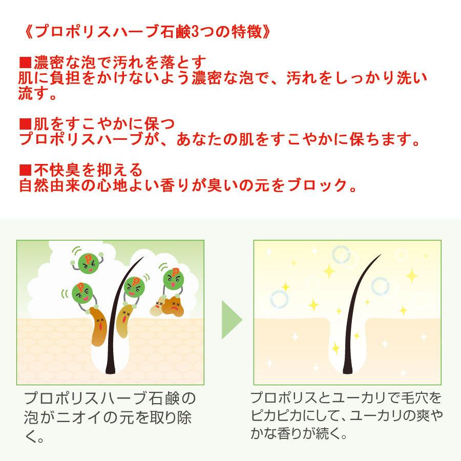 プロポリスハーブ石鹸 自然共生 ポイント消化 |  | 03