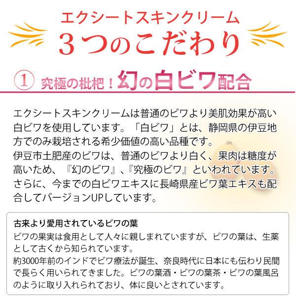 ビューティースキン リフレッシュクリーム 229gを3つとピュアリースキン1つ Bright Pure / ブライトピュアビューティースキンクリームの公式