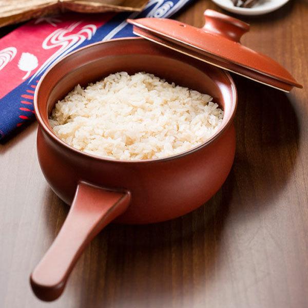 マスタークック けんこう片手鍋（大）（ガス直火用）（朱色）（1200ml） 健康綜合開発 数量限定