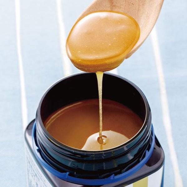 マヌカハニーMGO 250+（500g） コサナ : PURE・HEART 自然館 - 通販