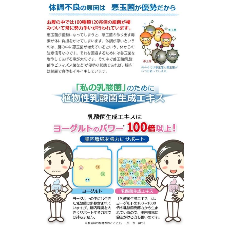 植物性乳酸菌生成エキス（5ml×30包） 2個セット オーサワジャパン｜shizenkan｜04