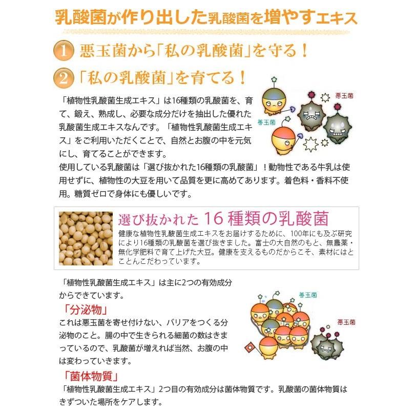 植物性乳酸菌生成エキス（5ml×30包） 2個セット オーサワジャパン｜shizenkan｜05