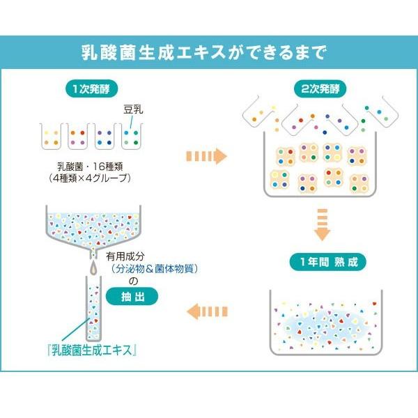 植物性乳酸菌生成エキス（5ml×30包） オーサワジャパン｜shizenkan｜07