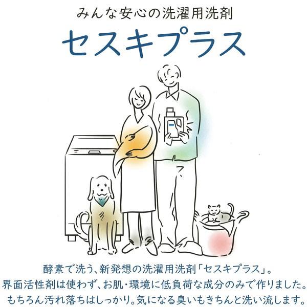 セスキプラス（洗濯用洗剤）無香料（詰替用）（1000g） 石けん百貨