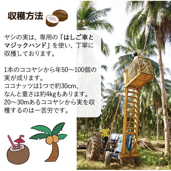 CIVGIS（チブギス） MCTオイル C8 パーフェクトケト（250ml