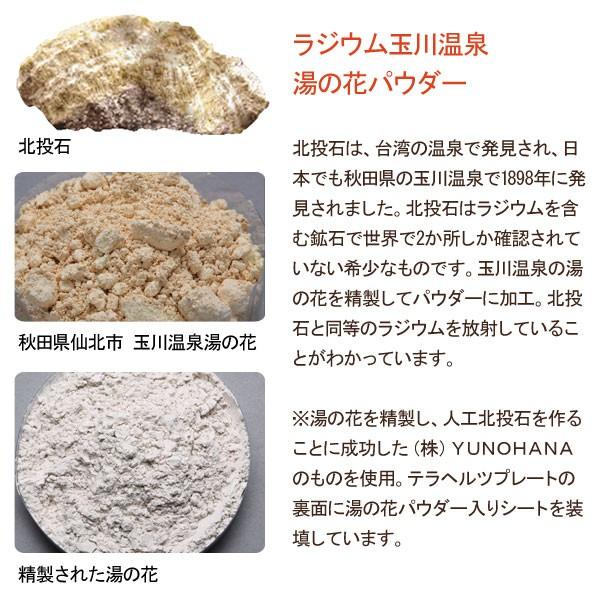 温熱テラヘルツ テラヘルツ温熱器 – TRUSTLEX