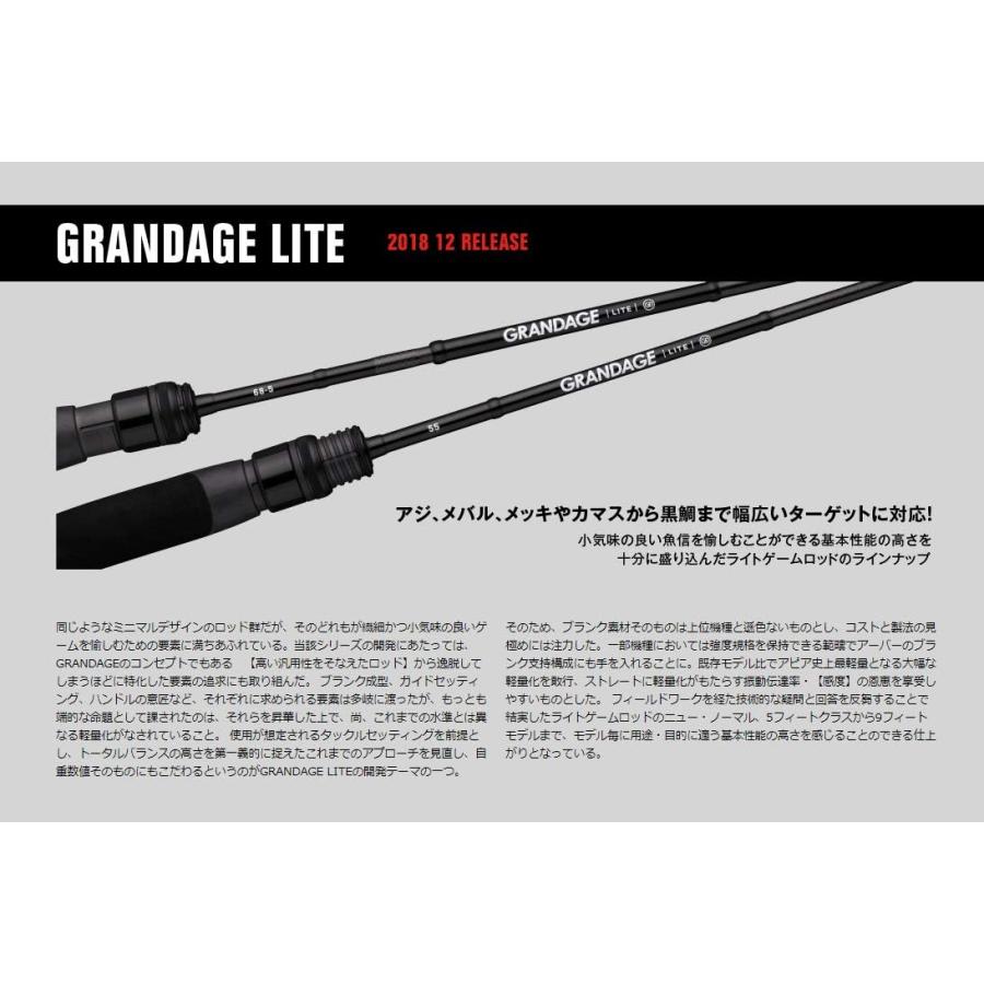 APIA APIA(アピア) GRANDAGE LITE(グランテージ ライト) 55 APIA APIA(アピア) GRANDAGE LITE(グランテージ ライト) 55