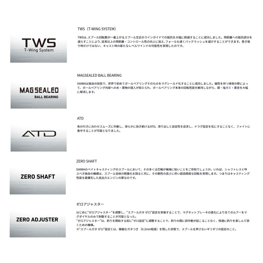 DAIWA(釣り) ダイワ(DAIWA) '23 STEEZ A II TW(スティーズ TW DAIWA(釣り) ダイワ(DAIWA) '23 STEEZ A II TW(スティーズ TW