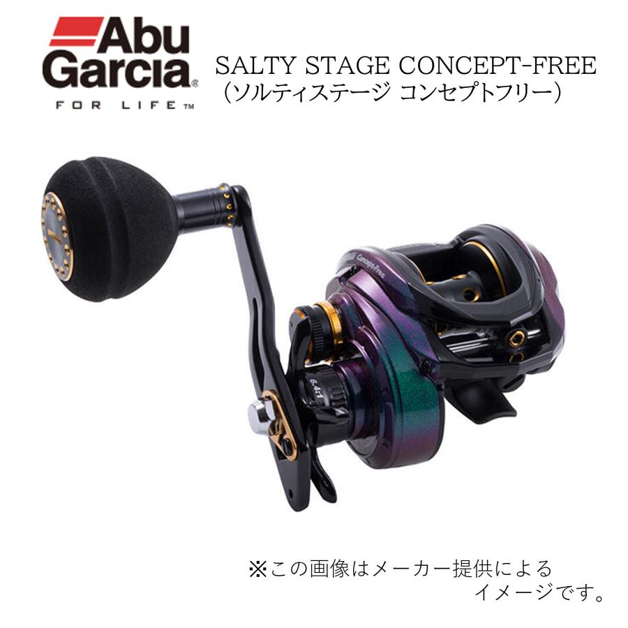Abu Garcia（アブガルシア） '19 SALTYSTAGECONCEPT-FREE (ソルティ
