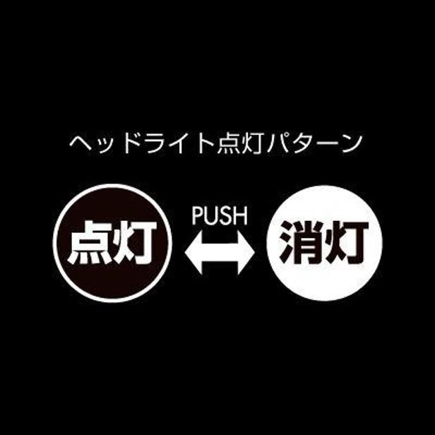 ZEXUS ZEXUS(ゼクサス) LEDクリップライト ZX-S100 (釣り小物