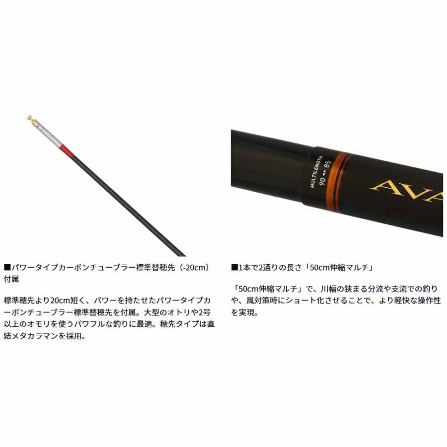 最新モデル　アバンサー　AVANCER T 85 鮎竿 最新モデル アバンサー AVANCER T 85 鮎竿 DAIWA（釣り） ダイワ