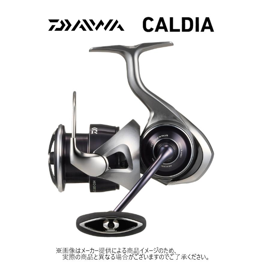 DAIWA（ダイワ） '25 CALDIA(カルディア) LT 4000-C (442520