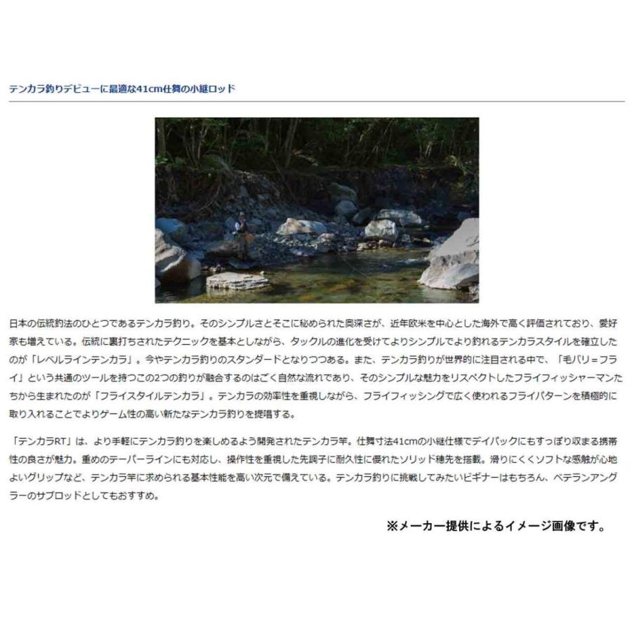 DAIWA（ダイワ） テンカラ竿 TENKARA RT(テンカラRT) 33 (振出