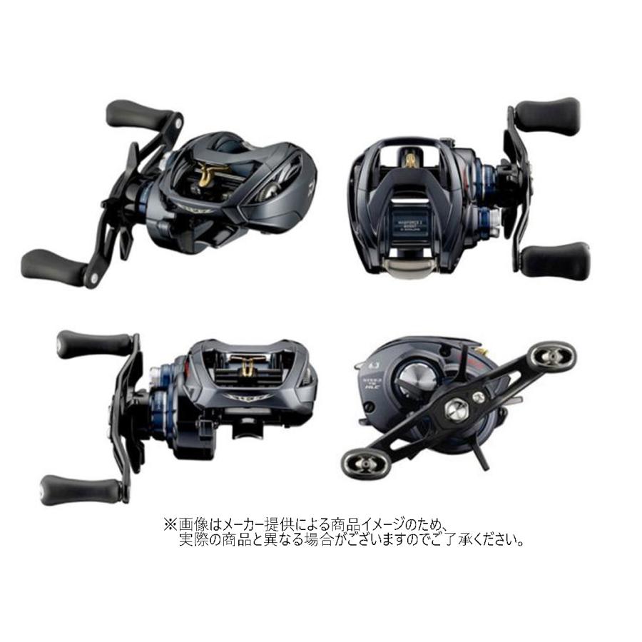 DAIWA（釣り） ダイワ '21 STEEZ A TW HLC(スティーズ HLC) 7.1R