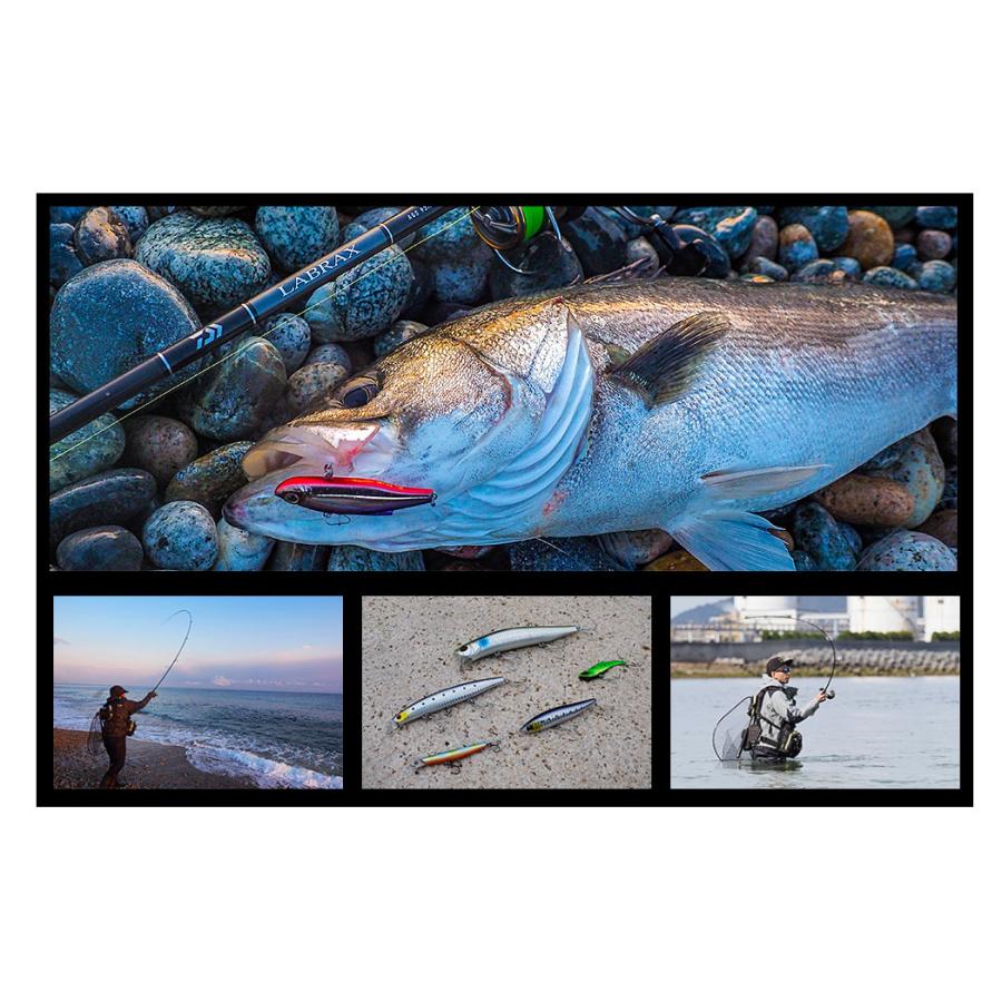 DAIWA(釣り) ダイワ '21 LABRAX AGS(ラブラックス AGS) 96M DAIWA(釣り) ダイワ '21 LABRAX AGS(ラブラックス AGS) 96M