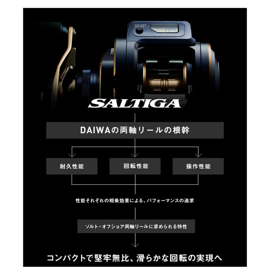 DAIWA（ダイワ） '21 SALTIGA IC(ソルティガ IC) 100 (右巻き