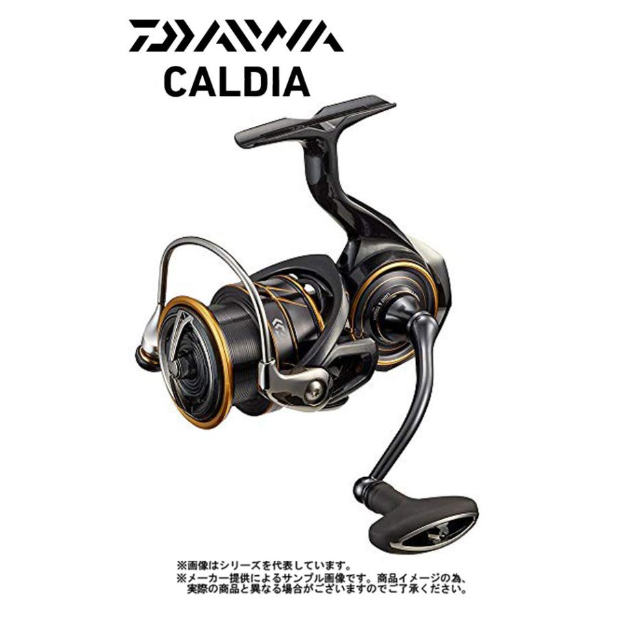 オープニング 大放出セール ダイワ 21 Caldia カルディア Lt 3000 Cxh スピニングリール シーバス エギング