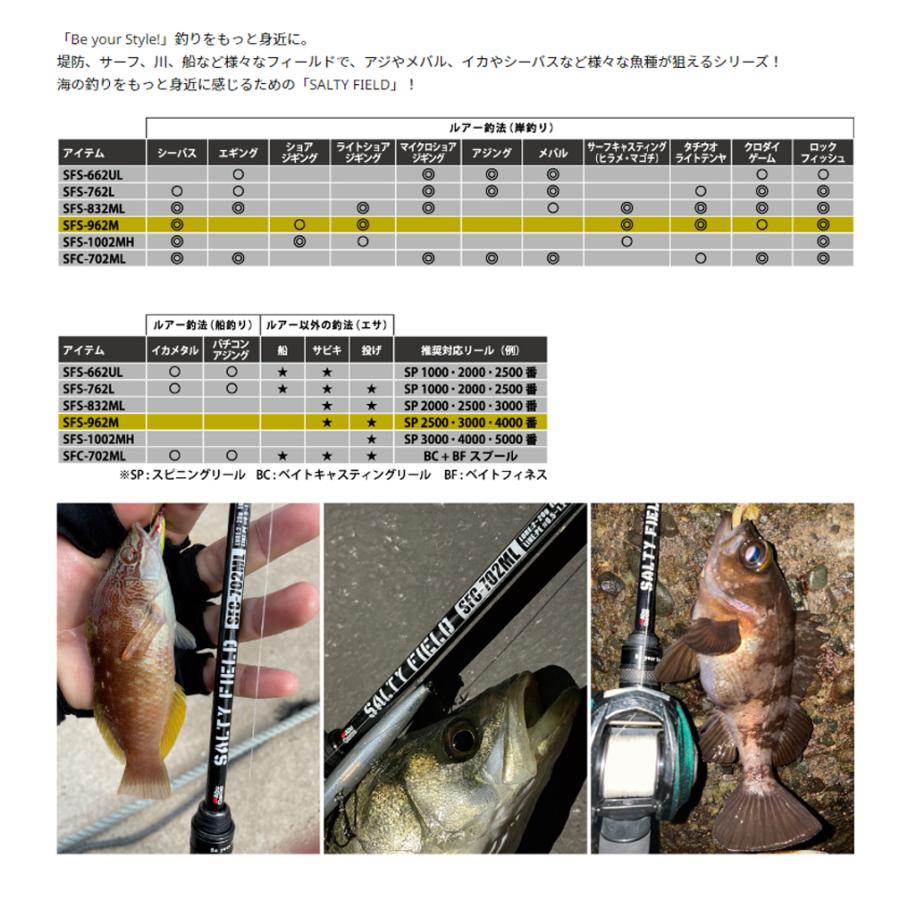 Abu Garcia AbuGarcia(アブガルシア) '22 SALTYFIELD(ソルティー Abu Garcia AbuGarcia(アブガルシア) '22 SALTYFIELD(ソルティー