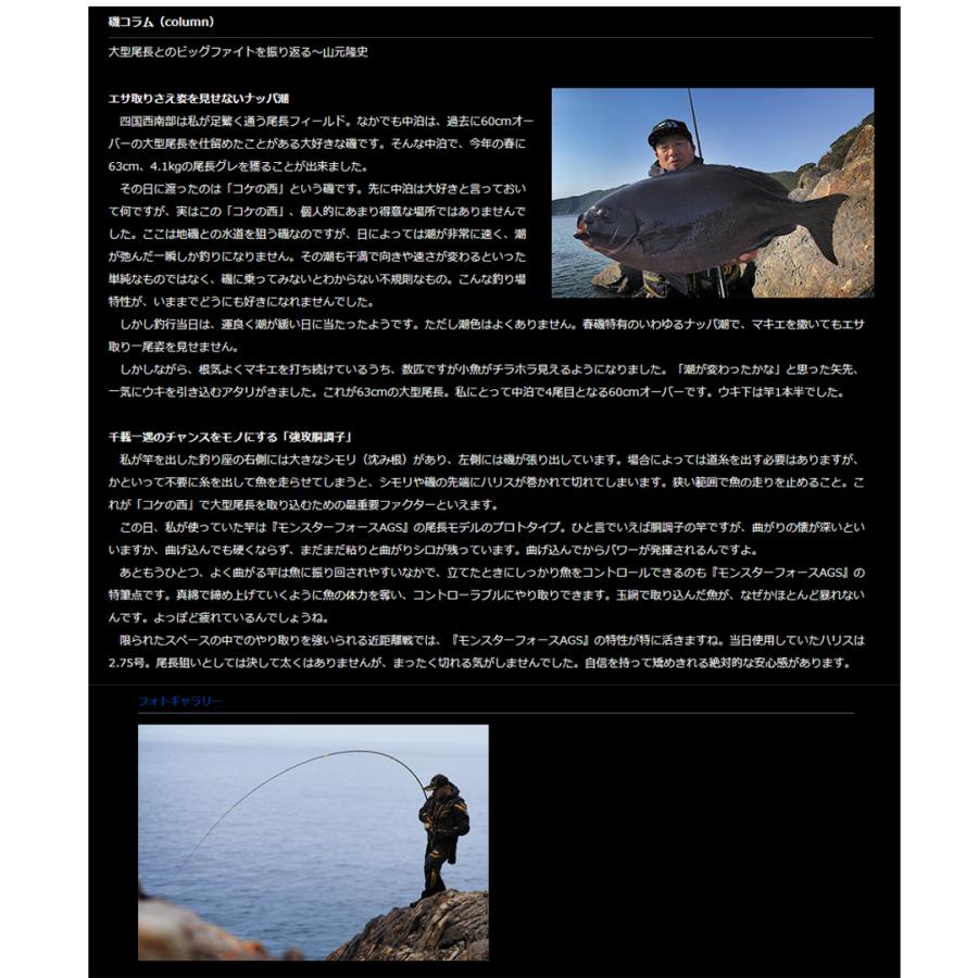 DAIWA（ダイワ） 磯竿 '22 MONSTER FORCE AGS(モンスターフォース AGS