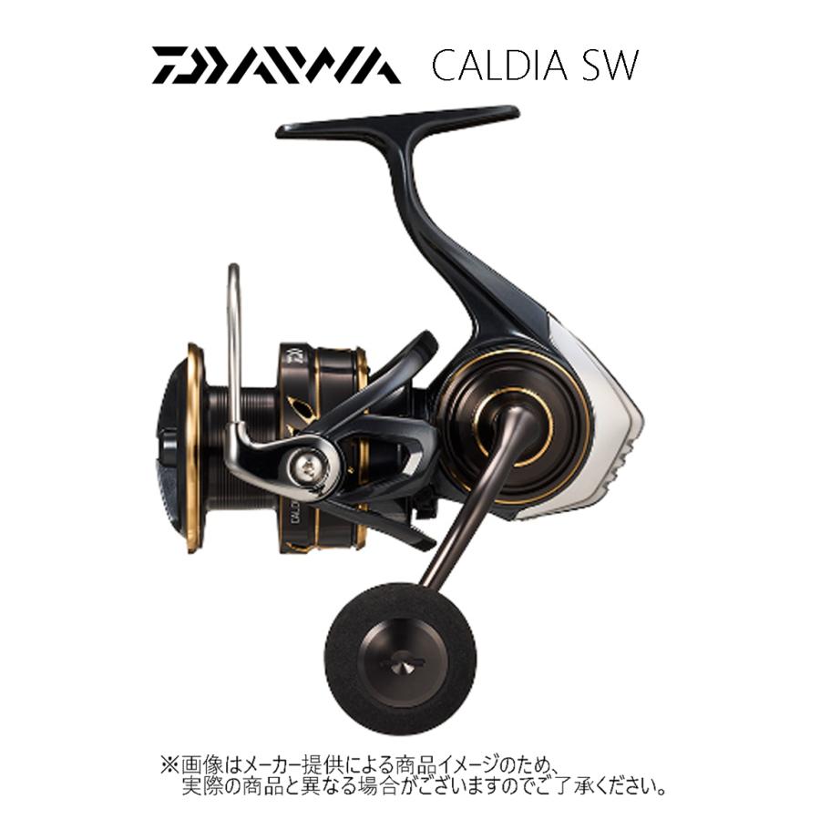 DAIWA CALDIA SW 5000D-CXH スピニングリール✨ジャンク品 DAIWA（釣り） ダイワ '22 CALDIA SW(カルディア SW) 5000D-CXH