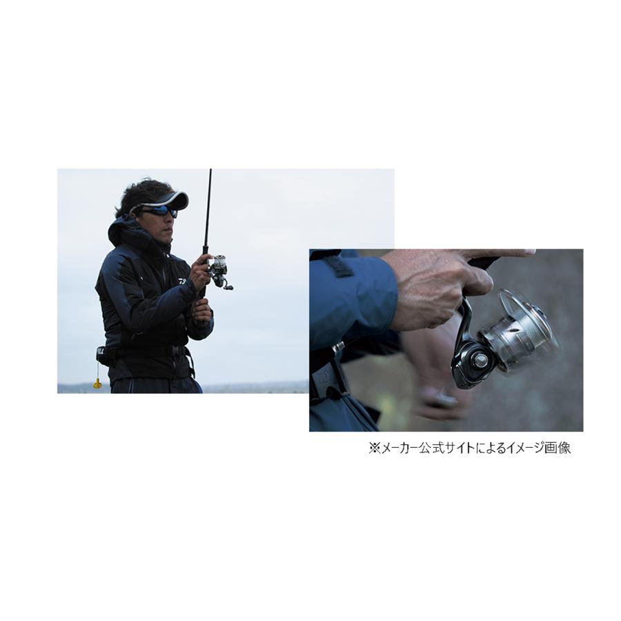 DAIWA（ダイワ） '20 LUVIAS(ルビアス) LT 4000-CXH (スピニングリール