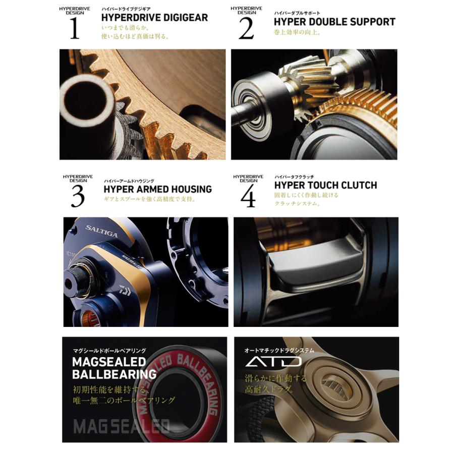 DAIWA(釣り) ダイワ '21 SALTIGA IC(ソルティガ IC) 100L DAIWA(釣り) ダイワ '21 SALTIGA IC(ソルティガ IC) 100L