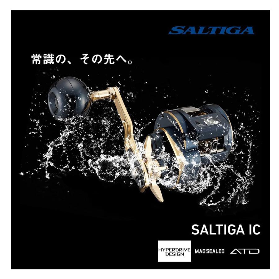 DAIWA（ダイワ） '21 SALTIGA IC(ソルティガ IC) 300L (左巻き