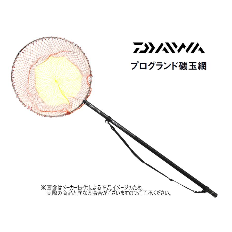 DAIWA（ダイワ） '23 プログランド磯玉網 60-60 4点セット(玉の柄・玉