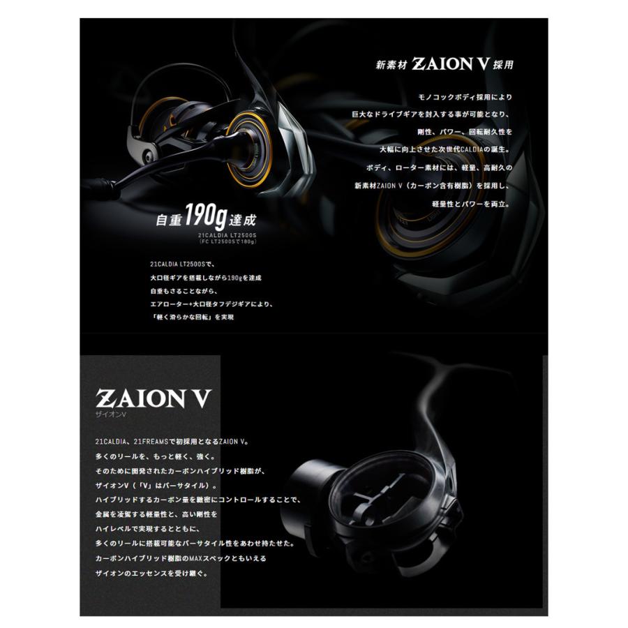 DAIWA(釣り) ダイワ '21 CALDIA(カルディア) LT 2500S DAIWA(釣り) ダイワ '21 CALDIA(カルディア) LT 2500S