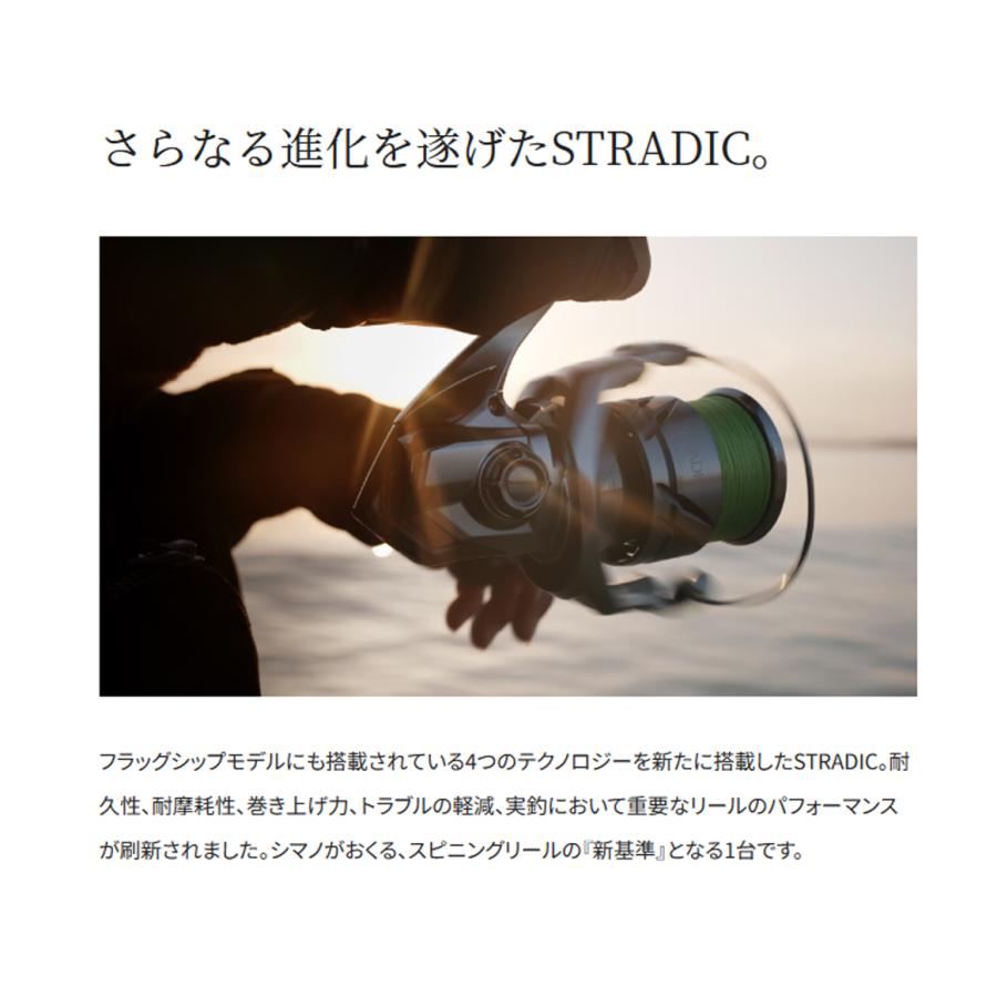 シマノ（SHIMANO） STRADIC(ストラディック) 2500SHG (スピニング