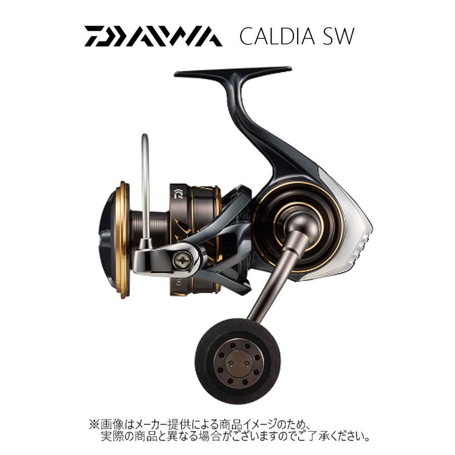 DAIWA（釣り） ダイワ '22 CALDIA SW(カルディア SW) 10000-H