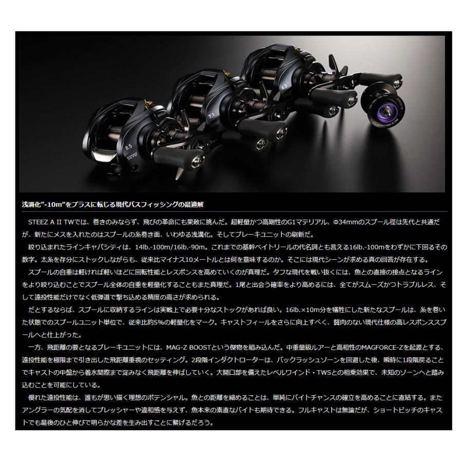 DAIWA(釣り) ダイワ '23 STEEZ A II TW(スティーズ TW) 1000H DAIWA(釣り) ダイワ '23 STEEZ A II TW(スティーズ TW) 1000H