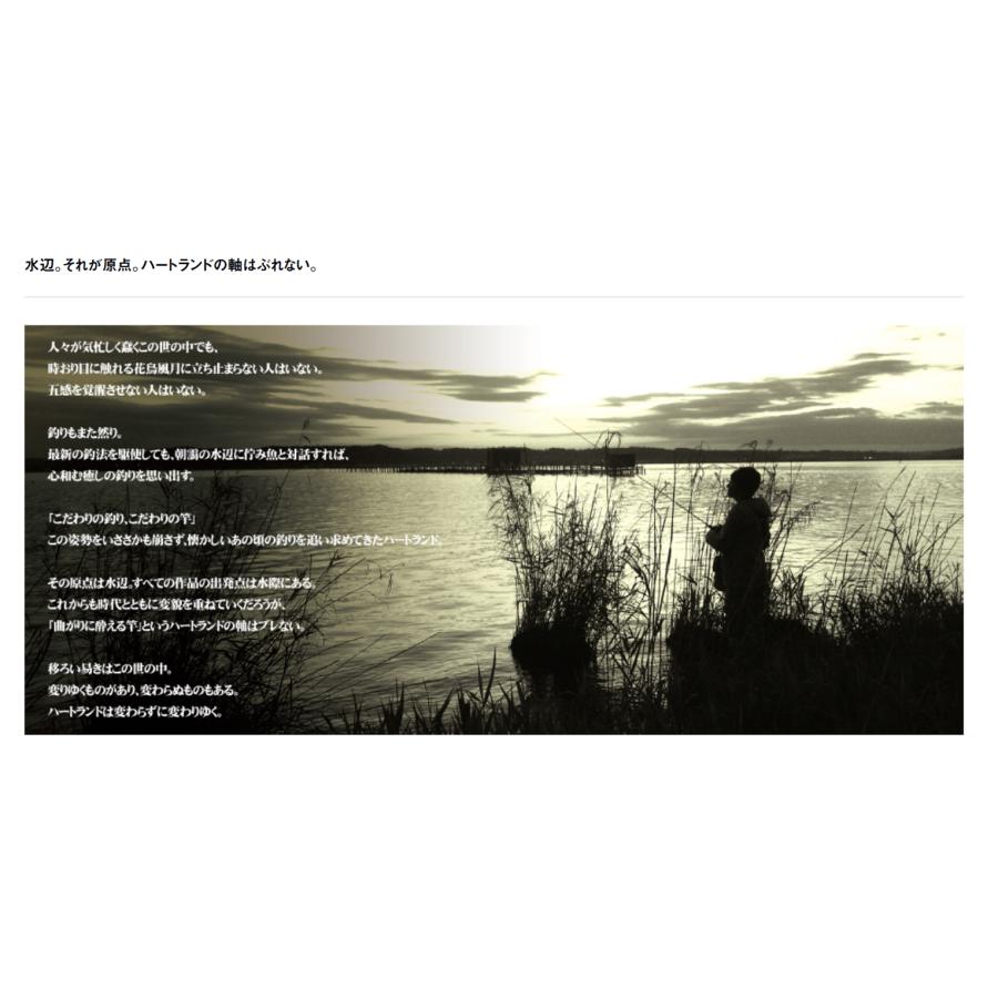 DAIWA(釣り) ダイワ HEARTLAND(ハートランド) ベイト DAIWA(釣り) ダイワ HEARTLAND(ハートランド) ベイト