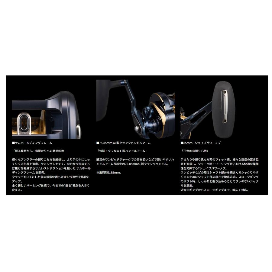 DAIWA（ダイワ） '25 SALTIGA(ソルティガ) 300HL (左巻き)(ジギング