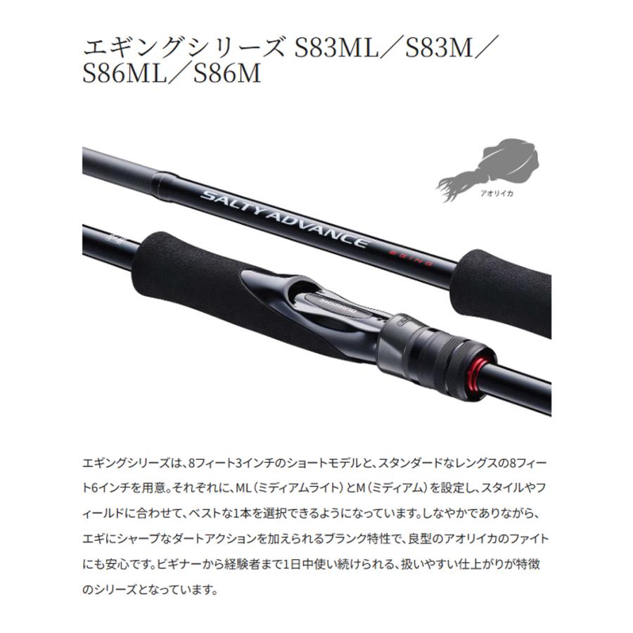 シマノ シマノ '25 SALTY ADVANCE(ソルティーアドバンス) EGING