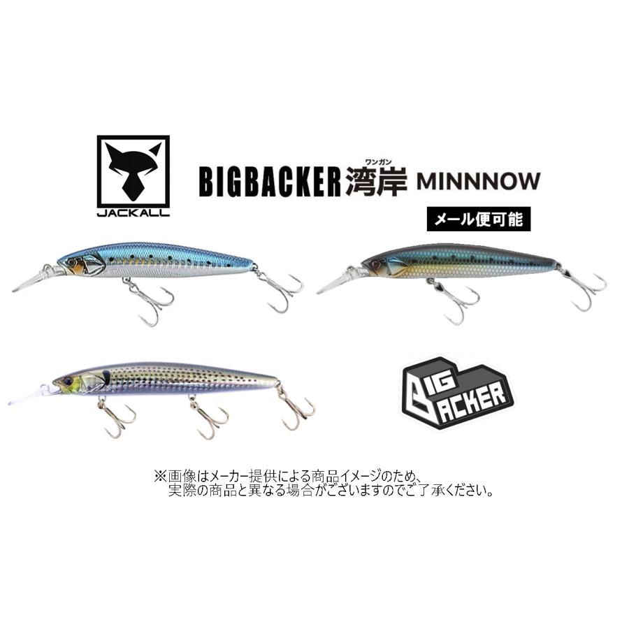 JACKALL（ジャッカル） 【メール便可】 ビッグバッカーワンガンミノー