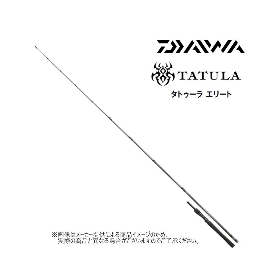 DAIWA（ダイワ） TATULA ELITE(タトゥーラ エリート) 701MHRB-G (バス