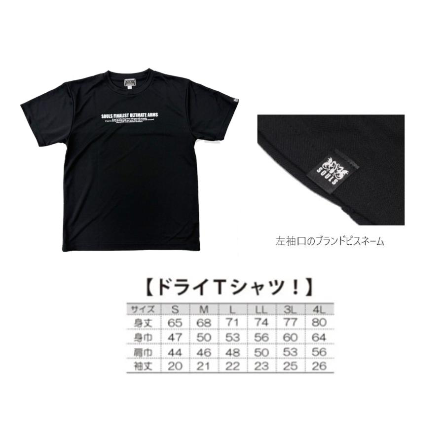 SOULS（ソウルズ） 【メール便可】 '26 ドライTシャツ ロゴ