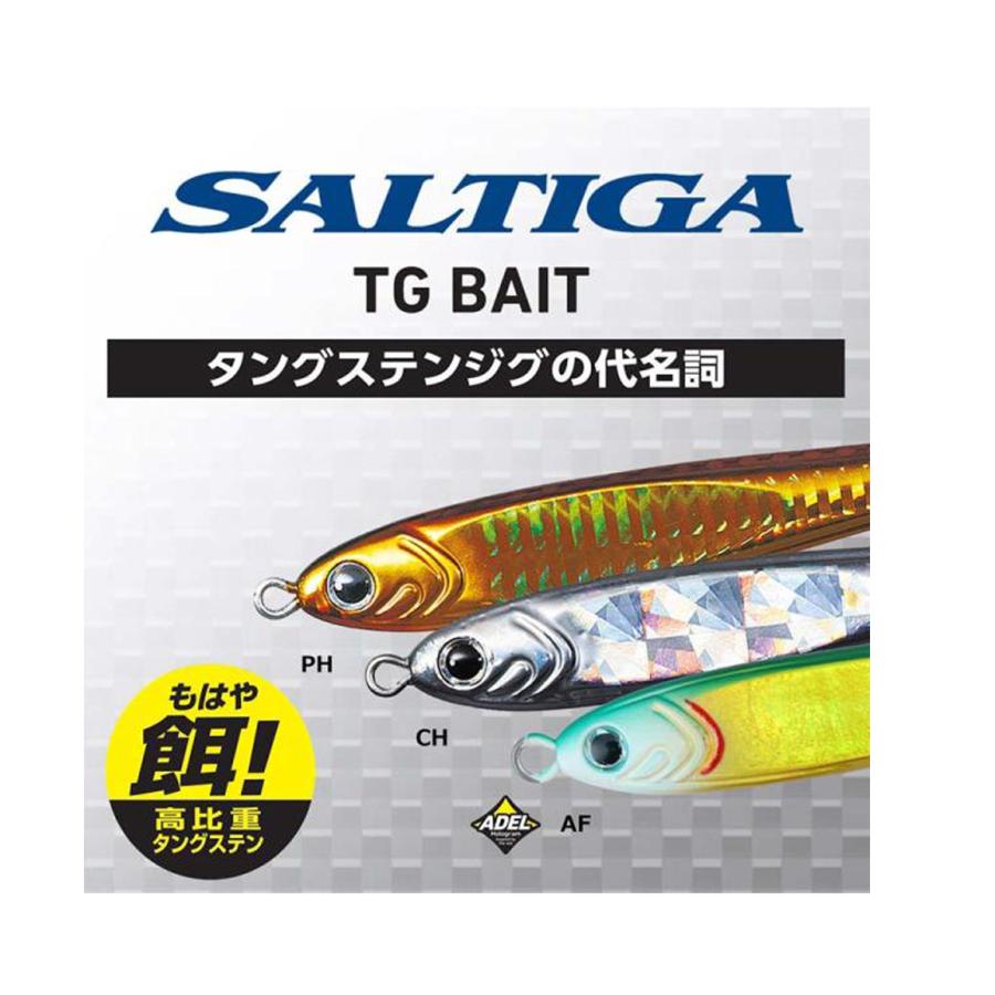 DAIWA（ダイワ） 【メール便可】ダイワ SALTIGA TG BAIT(ソルティガ TG