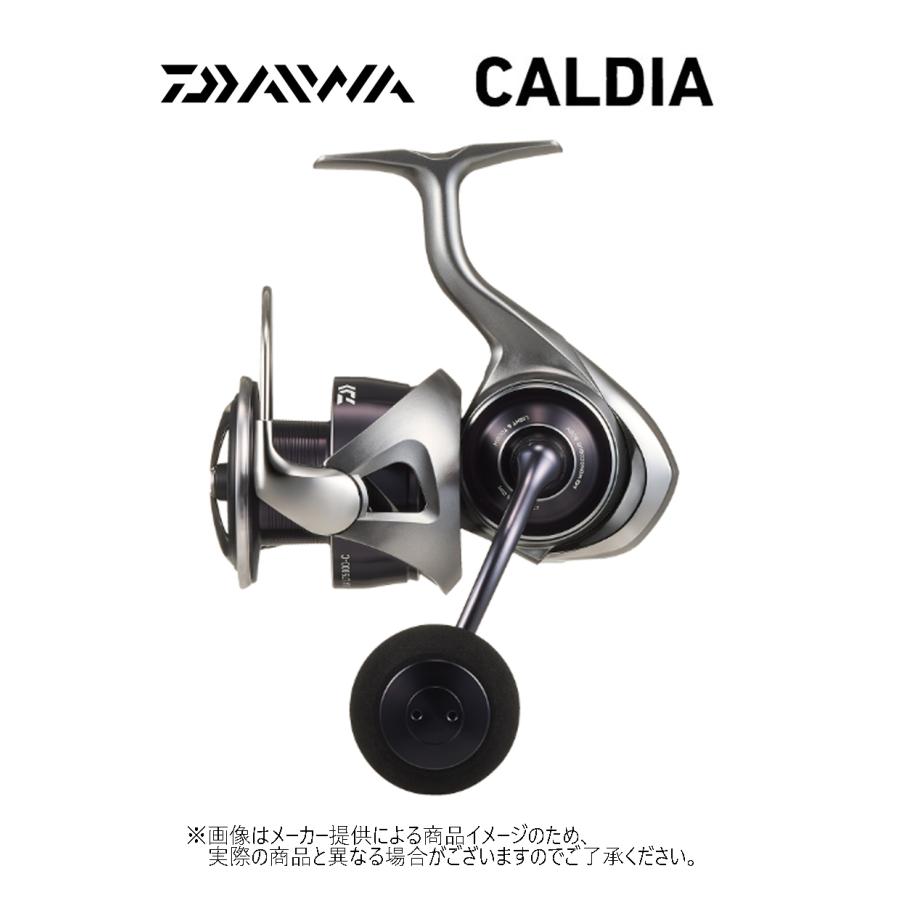 DAIWA（ダイワ） '25 CALDIA(カルディア) LT 5000-CXH (スピニング