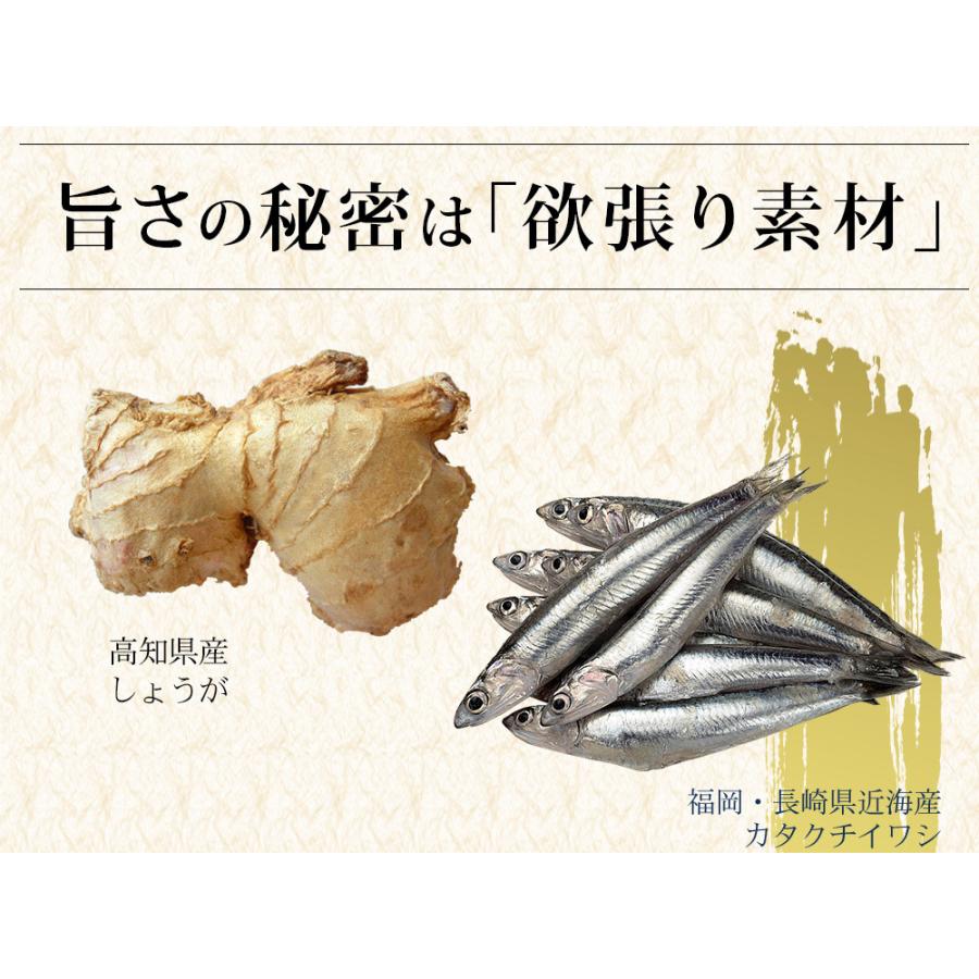 生姜パウダー 国産 無添加 出汁 だし 飲むだし 粉末 ペプチド 生姜粉末 生姜スープ 高知県産 しょうが しょうがスープ 和風だし ブレンド ペプチドリップ｜shizennomegumi｜18